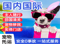 三源浦机场托运国际宠物托运 【国